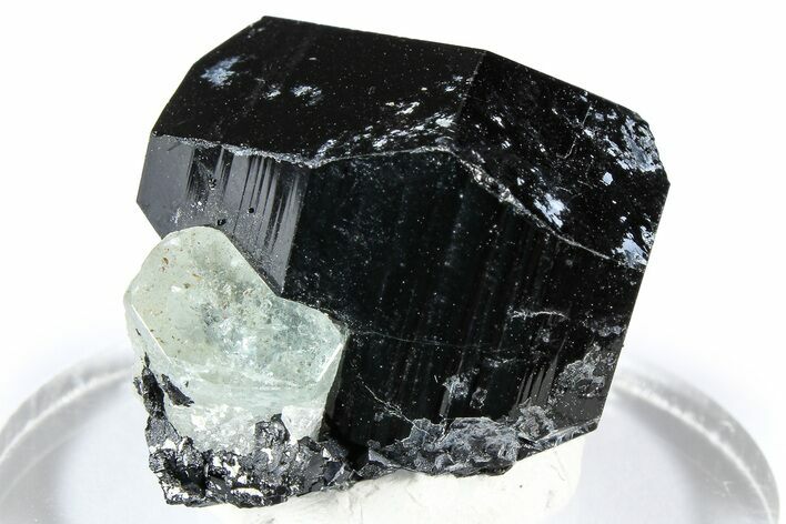 Lustrous Black Tourmaline (Schorl) w/ Aquamarine - Namibia #361668